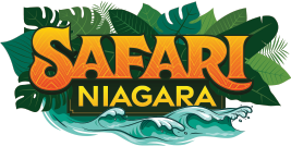 Safari Niagara - Attractions - New Year’s Eve Niagara Falls